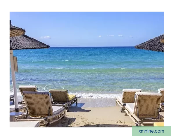 拉齐奥对阵帕尔马直播焦点诺斯林强势回应德尔普拉托全场实时动态追踪