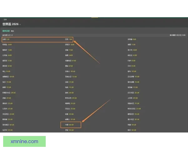 世界杯赛事胜负赔率深度解析与热门竞猜策略指南